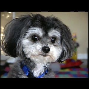 Meet your Posher, Staci